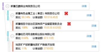 新疆五鑫铜业有限责任公司