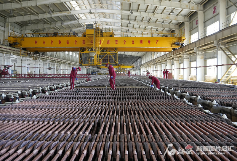 新疆五鑫铜业上半年产量同比增长20.48%_腾讯新闻