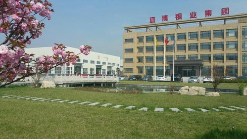 青岛宜博铜业集团