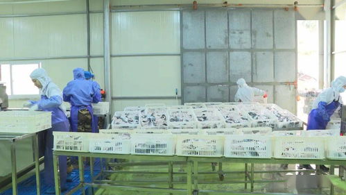 节后复工忙 东山这些产品订单已火爆