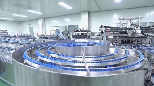 内培外引打造高质量产业体系 助推成武县域经济高质量发展