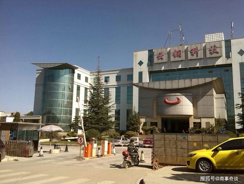 311亿买商标,捐500吨黄金硬刚国企,这家民营企业什么来头
