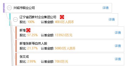 兴城市铜业公司 引领区域铜业发展的创新力量