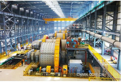 37.5亿元 西部矿业再创新佳绩重点新闻 有色金属新闻 中国有色金属报主办