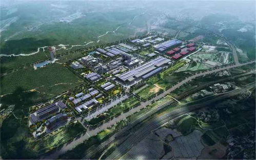 西南铜业 党建 招标 工作取得实效 年内可完成90 以上子项目招标目标