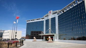 静 净 精 西部铜业精细化管理初体验